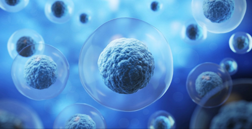 Blood Stem Cells 4D for Men      [ 1 × 100Ml ]