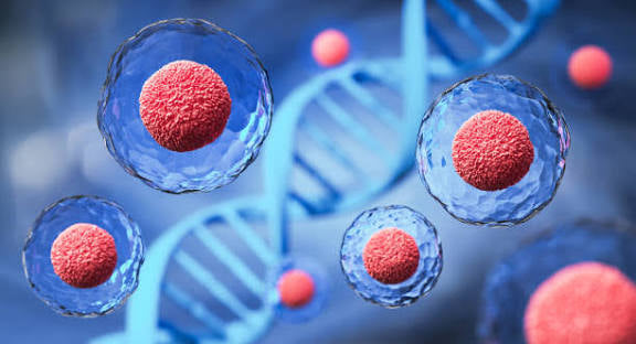 Cancer Cells 4D           [ 1 × 850Ml ]